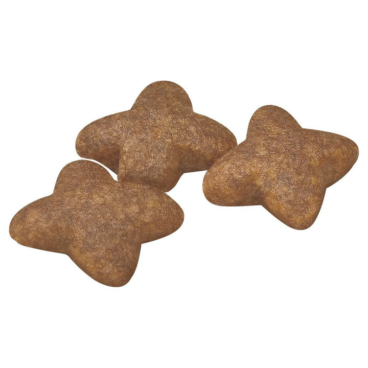 Royal Canin Mini Adult - Just For Pets Australia