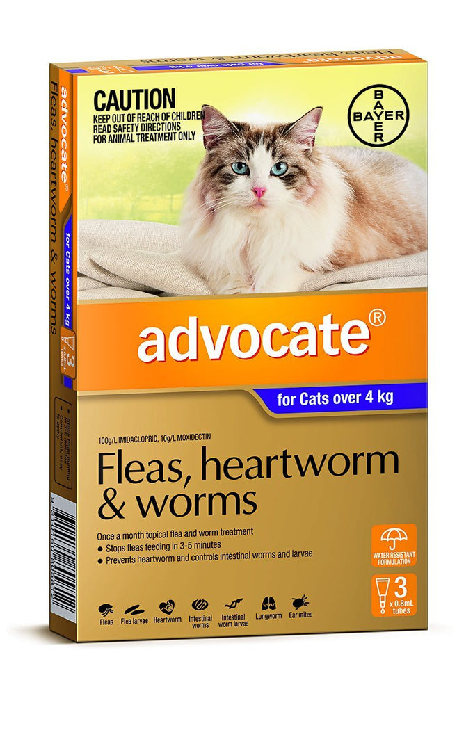 Advocate Fleas, Heartworm & Worms For Cats Over 4kg - Just For Pets Australia