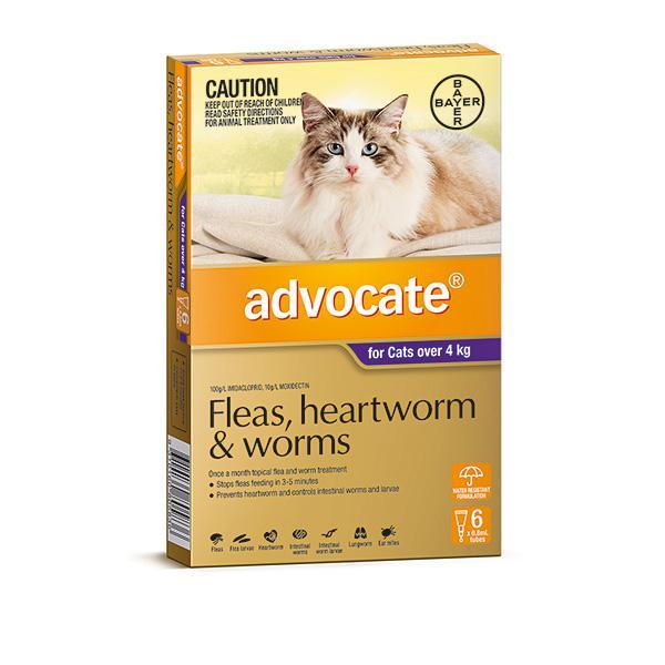 Advocate Fleas, Heartworm & Worms For Cats Over 4kg - Just For Pets Australia