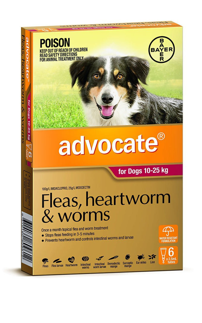 Advocate Fleas, Heartworm & Worms For Dogs 10 - 25kg - Just For Pets Australia