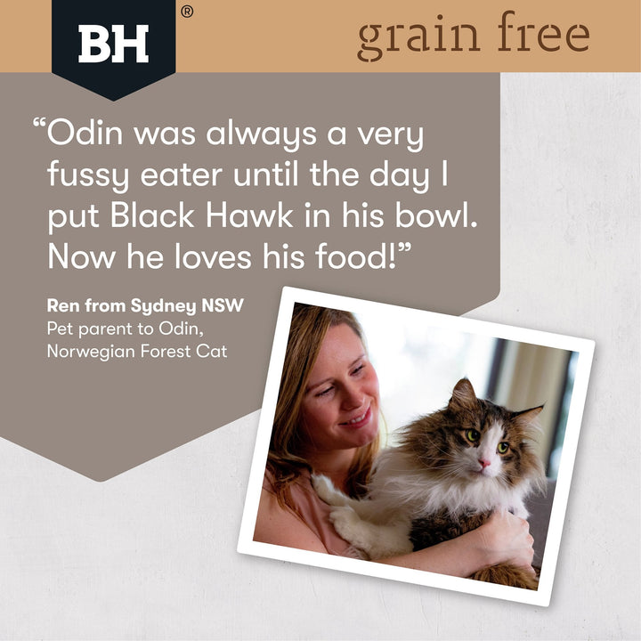 Black Hawk Grain Free Mature Chicken With Salmon In Jelly Wet Cat Food Pouches 85G - Just For Pets Australia