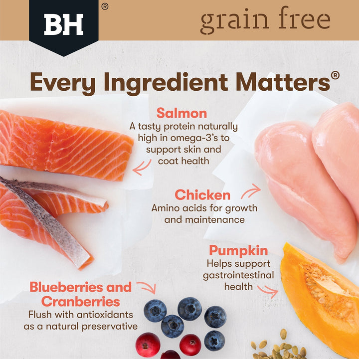 Black Hawk Grain Free Mature Chicken With Salmon In Jelly Wet Cat Food Pouches 85G - Just For Pets Australia