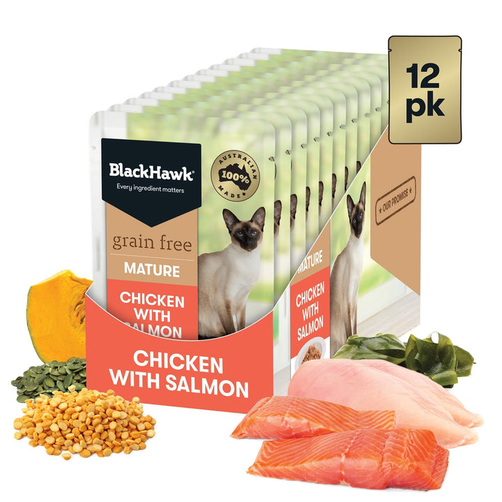Black Hawk Grain Free Mature Chicken With Salmon In Jelly Wet Cat Food Pouches 85G - Just For Pets Australia