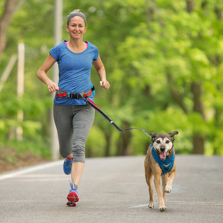 Kurgo K9 Excusion Running Belt - Just For Pets Australia