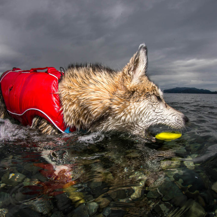 Kurgo Skipping Stones 2PK - Just For Pets Australia