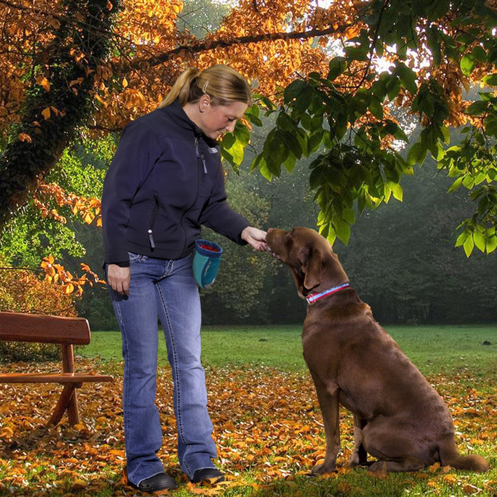 Kurgo Go-Stuff-It Treat Bag, Coastal Blue - Just For Pets Australia