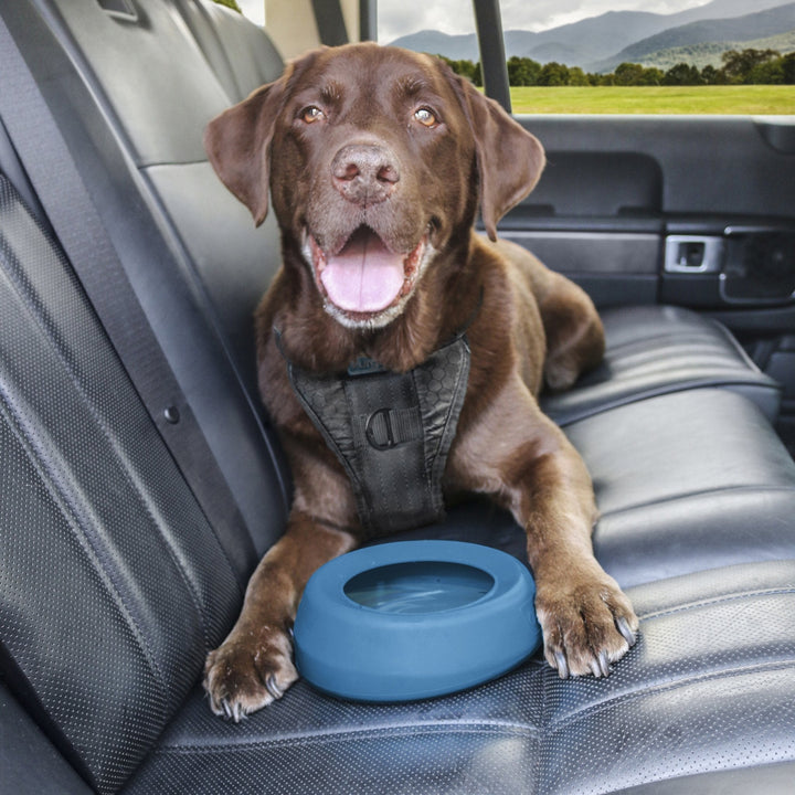 Kurgo Splash Free Wander Dog Water Bowl - Just For Pets Australia