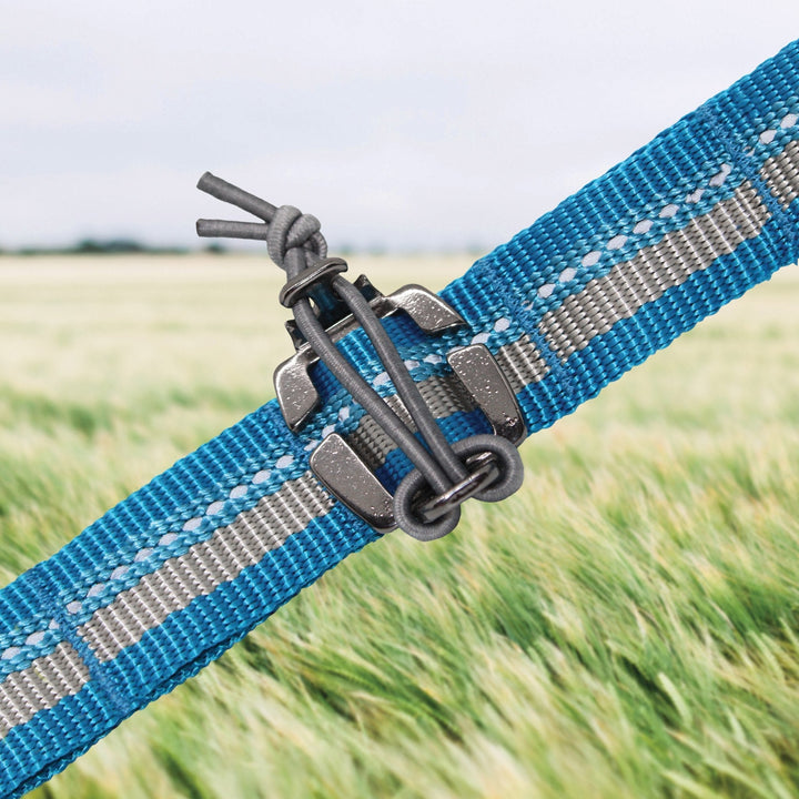 Kurgo RSG Stub Leash - Just For Pets Australia