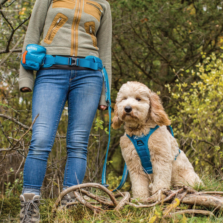 Kurgo RSG Active Utility Belt - Just For Pets Australia