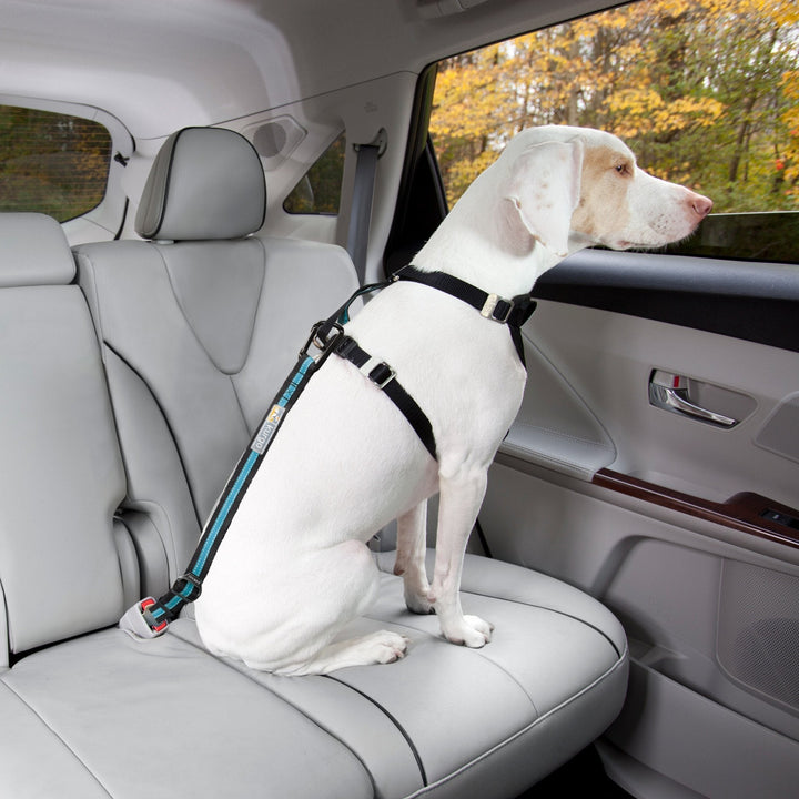 Kurgo Direct to Seat Belt Tether - Just For Pets Australia