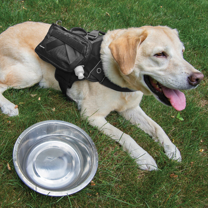 Kurgo RSG Hydration Flask, Black - Just For Pets Australia