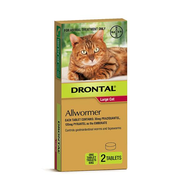 Drontal Cat Allwormer Large Cat up to 6kg 2 Pack - Just For Pets Australia