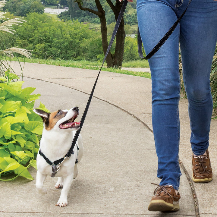 PetSafe® 3 in 1 Harness and Car Restraint, Black - Just For Pets Australia