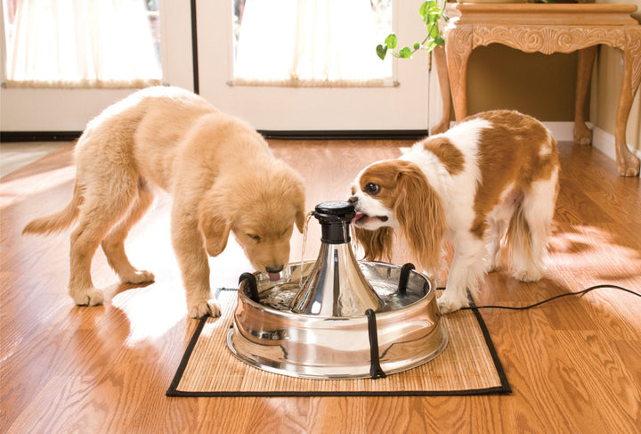 PetSafe® Drinkwell® Stainless Multi-Pet Pet Fountain - Just For Pets Australia