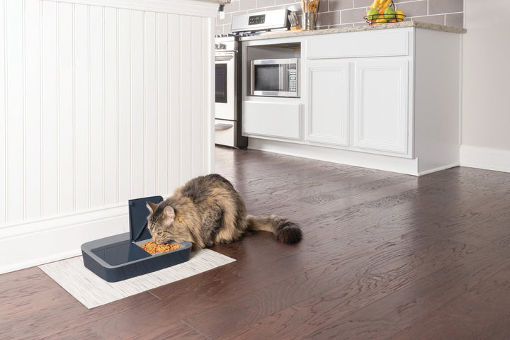 PetSafe® Digital Two Meal Pet Feeder - Just For Pets Australia