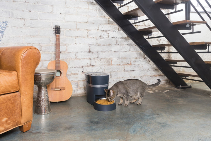 PetSafe® Smart Feed Automatic Dog and Cat Feeder - Just For Pets Australia