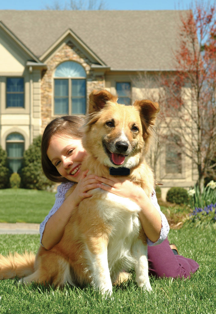 PetSafe® Stubborn Dog Add-A-Dog® Extra Receiver Collar