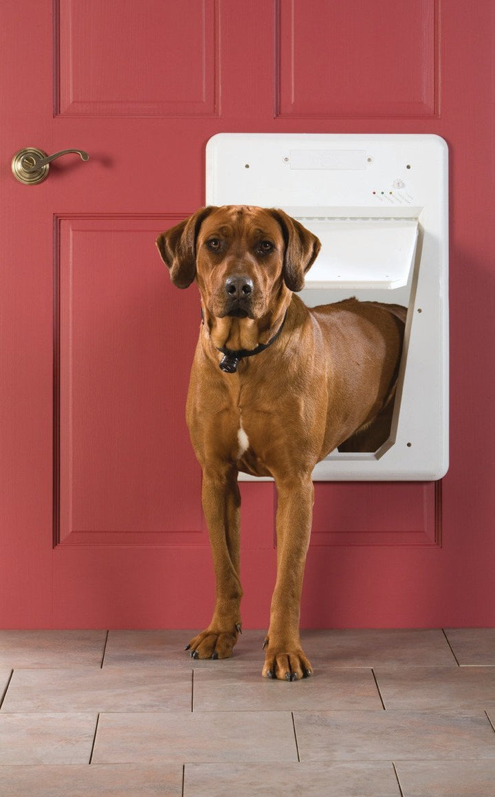 PetSafe® Electronic SmartDoor - Just For Pets Australia