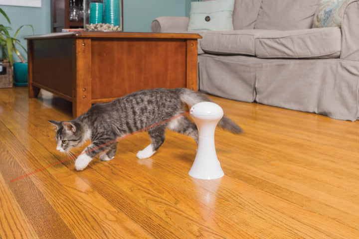 PetSafe® FroliCat® Multi-Laser Toy - Just For Pets Australia