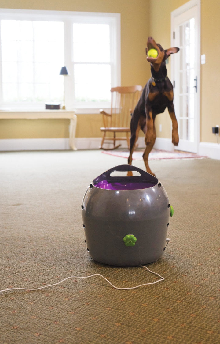 PetSafe® Automatic Ball Launcher - Just For Pets Australia