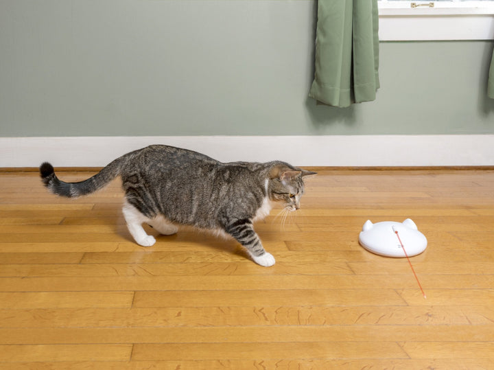 PetSafe® FroliCat® ZIP Automatic Laser Light - Just For Pets Australia