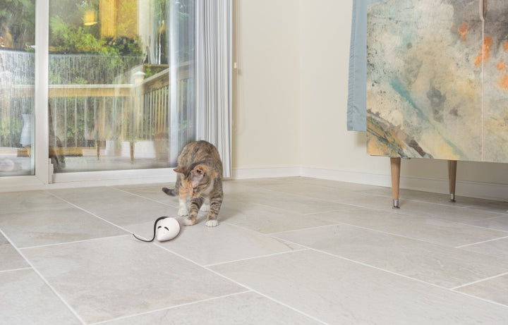 PetSafe® FroliCat® RoloRat - Just For Pets Australia