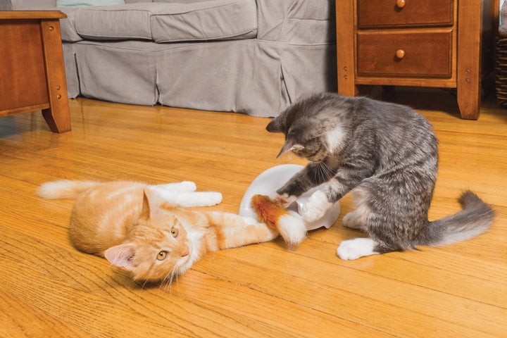 PetSafe® Frolicat® Fox Den Toy Automatic Cat Teaser - Just For Pets Australia