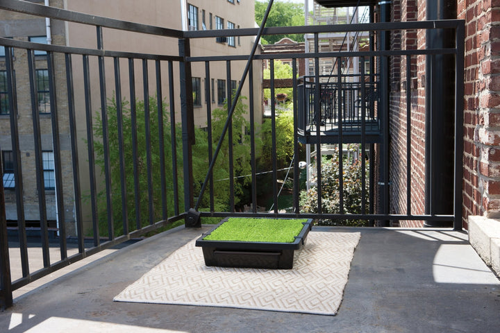 PetSafe® Pet Loo™ Portable Pet Toilet - Just For Pets Australia