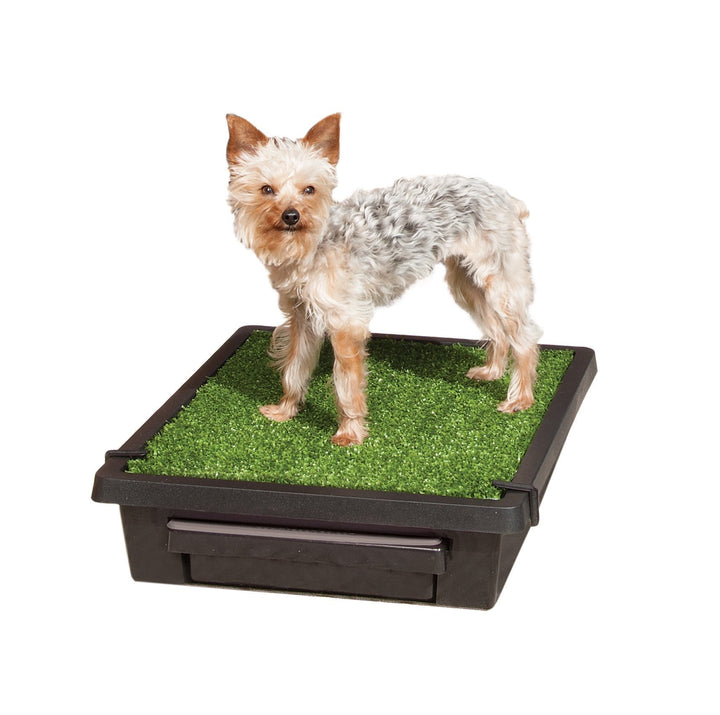 PetSafe® Pet Loo™ Portable Pet Toilet - Just For Pets Australia