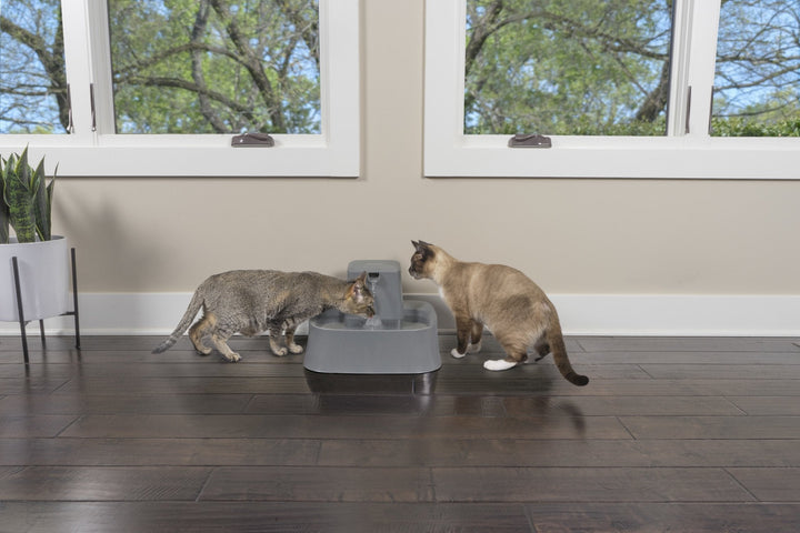PetSafe® Drinkwell® Pet Fountain - Just For Pets Australia