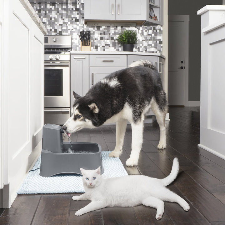 PetSafe® Drinkwell® Pet Fountain - Just For Pets Australia