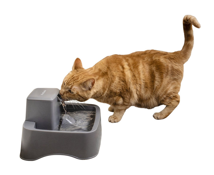 PetSafe® Drinkwell® Pet Fountain - Just For Pets Australia