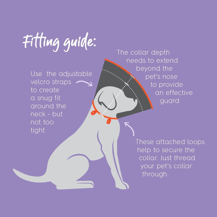 Kazoo Comfy Vet Collar - Just For Pets Australia