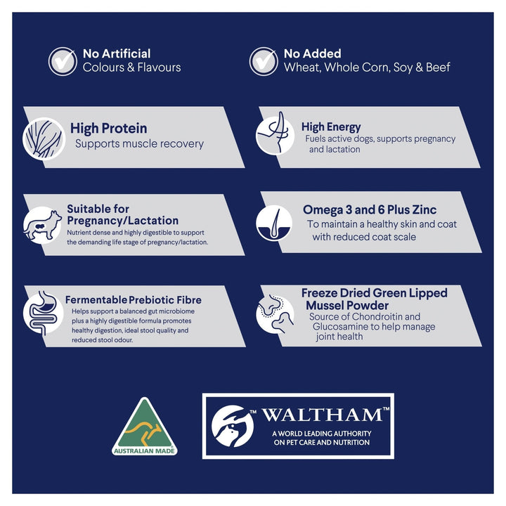 ADVANCE Active Adult Dry Dog Food Chicken with Rice - Just For Pets Australia