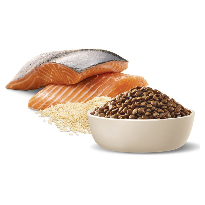 ADVANCE Adult Dry Cat Food Ocean Fish with Rice - Just For Pets Australia