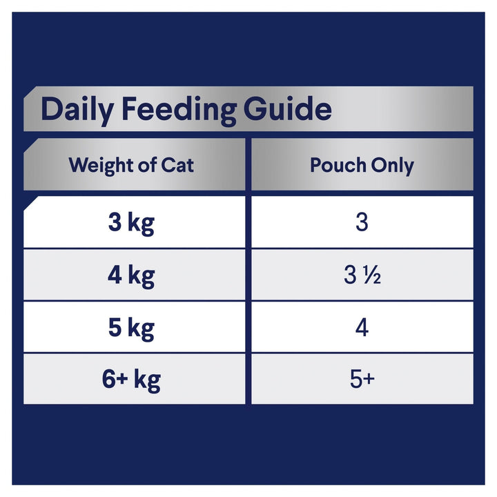ADVANCE Adult Wet Cat Food Ocean Fish In Jelly 12x85g Pouches - Just For Pets Australia