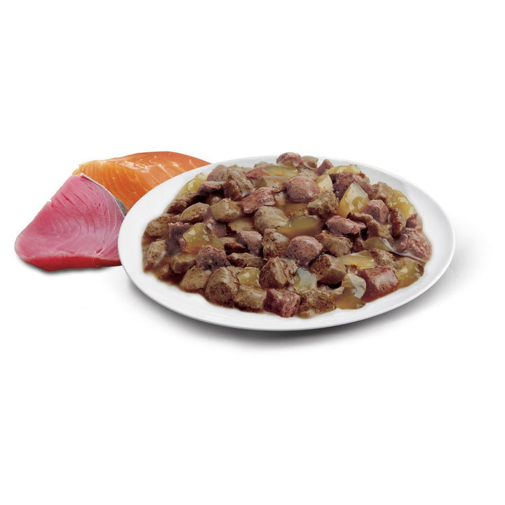 ADVANCE Adult Wet Cat Food Ocean Fish In Jelly 12x85g Pouches - Just For Pets Australia