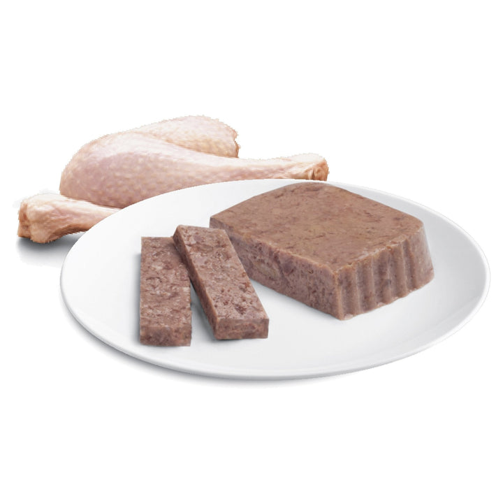 ADVANCE Adult Wet Cat Food with Succulent Turkey 7x85g Trays - Just For Pets Australia