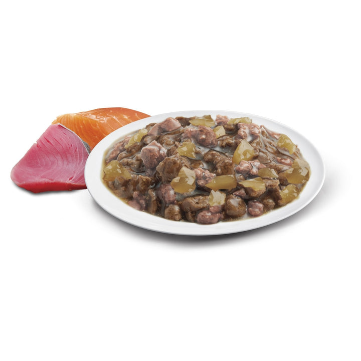 ADVANCE Healthy Ageing Wet Cat Food Ocean Fish In Jelly 12x85g Pouches - Just For Pets Australia