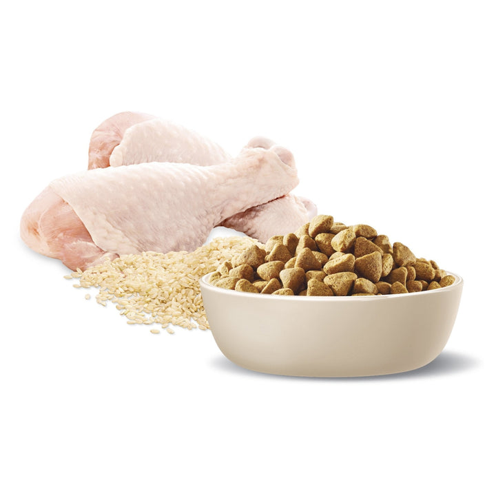 ADVANCE Healthy Weight Medium Adult Dry Dog Food Chicken with Rice - Just For Pets Australia