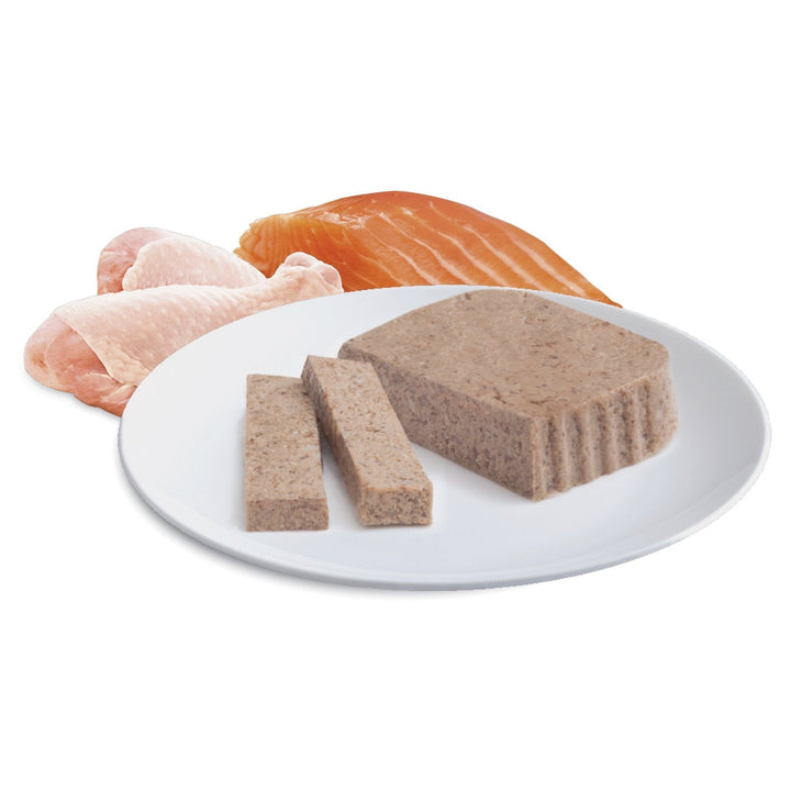 ADVANCE Kitten Wet Cat Food Chicken & Salmon Medley 7x85g Trays - Just For Pets Australia