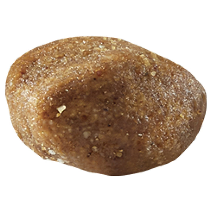 ADVANCE Large Oodles Dry Dog Food Salmon with Rice - Just For Pets Australia