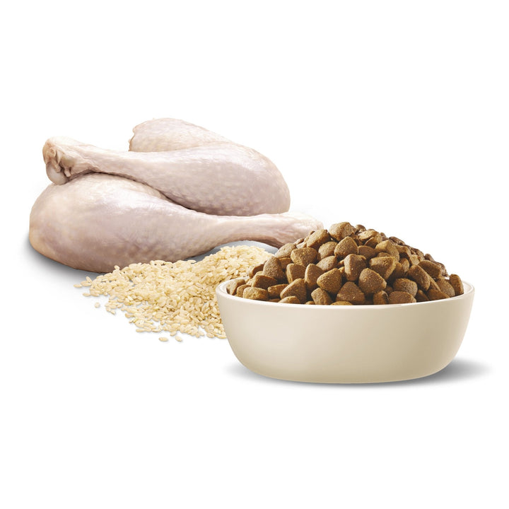 ADVANCE Medium Adult Dry Dog Food Turkey with Rice - Just For Pets Australia