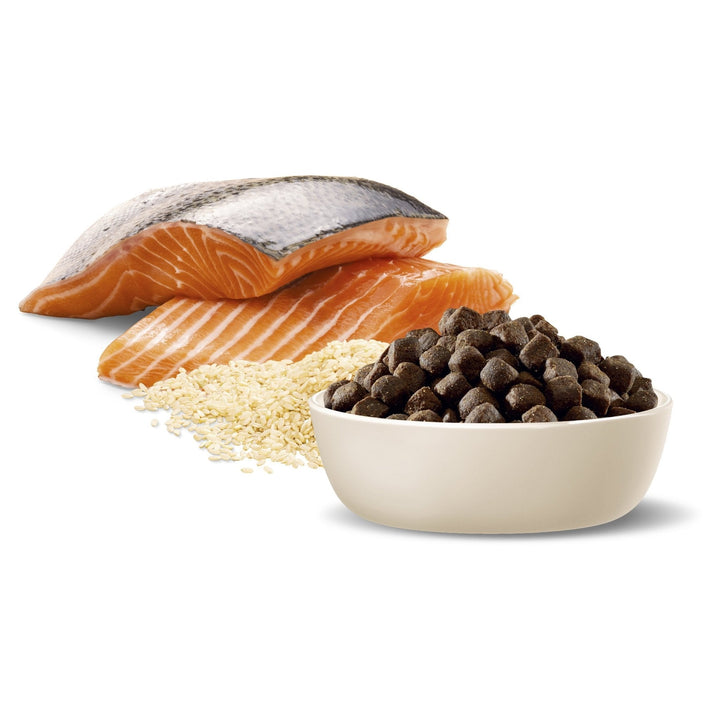 ADVANCE Medium Terriers Dry Dog Food Ocean Fish with Rice - Just For Pets Australia