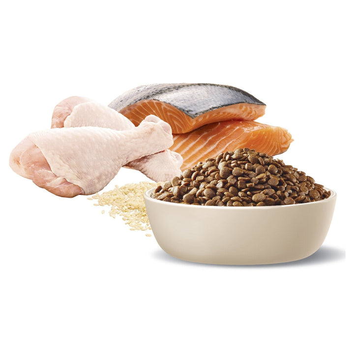 ADVANCE Multi Cat Dry Cat Food Chicken & Salmon with Rice - Just For Pets Australia