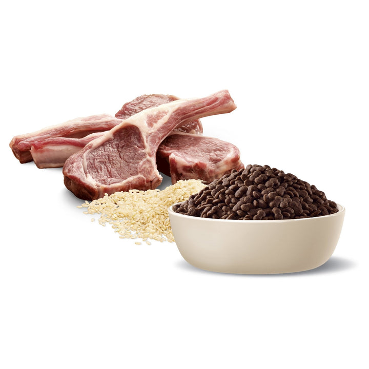 ADVANCE Small Adult Dry Dog Food Lamb with Rice - Just For Pets Australia