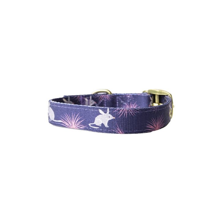 Anipal Billie the Bilby Dog Collar - Just For Pets Australia