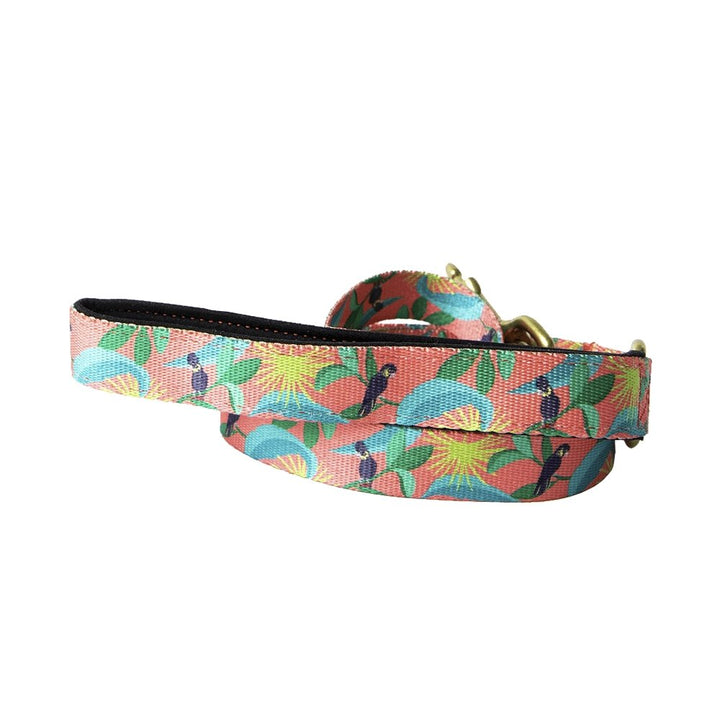 Anipal Clancy the Black Cockatoo Dog Lead - Just For Pets Australia