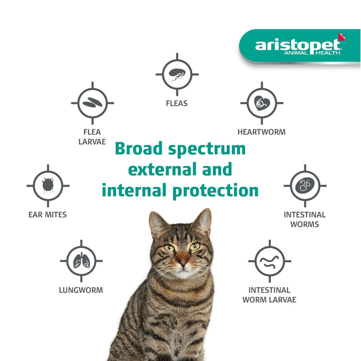 Aristopet Spot ons Kittens and Cats over 4kg - Just For Pets Australia
