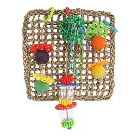 Bainbridge Foraging Wall Bird Toy - Just For Pets Australia